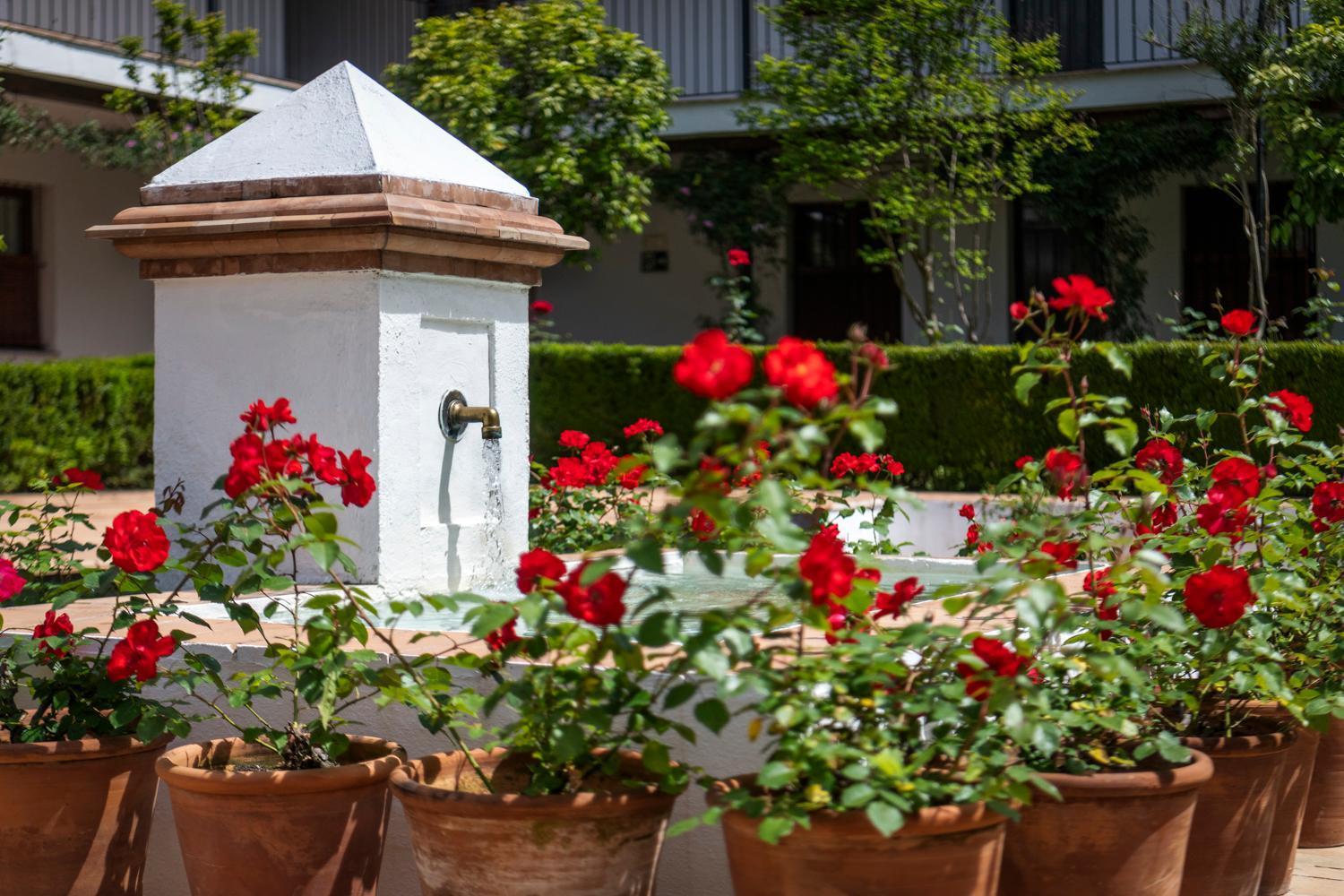 Magno Apartments San Laureano - Private Parking Included Севиля Екстериор снимка
